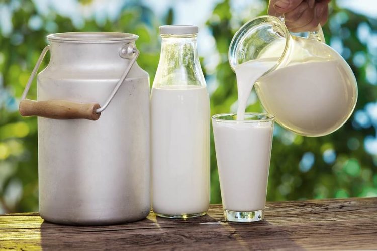 Raw milk - Milky Day Blog
