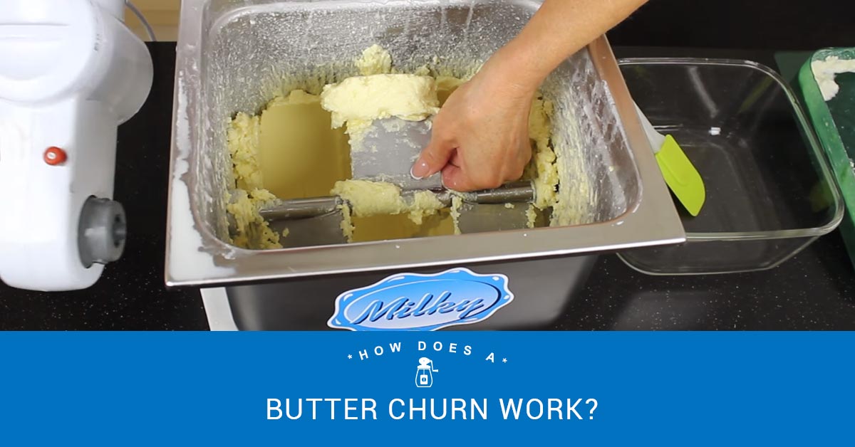 How Does a Butter Churn Work? Milky Day Blog