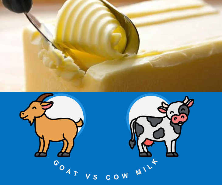 https://milkyday.com/blog/wp-content/uploads/2019/08/goat-vs-cow.jpg