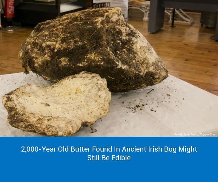 ancient Irish bog butter