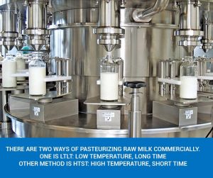 pasteurization commercial milk if pasteurize