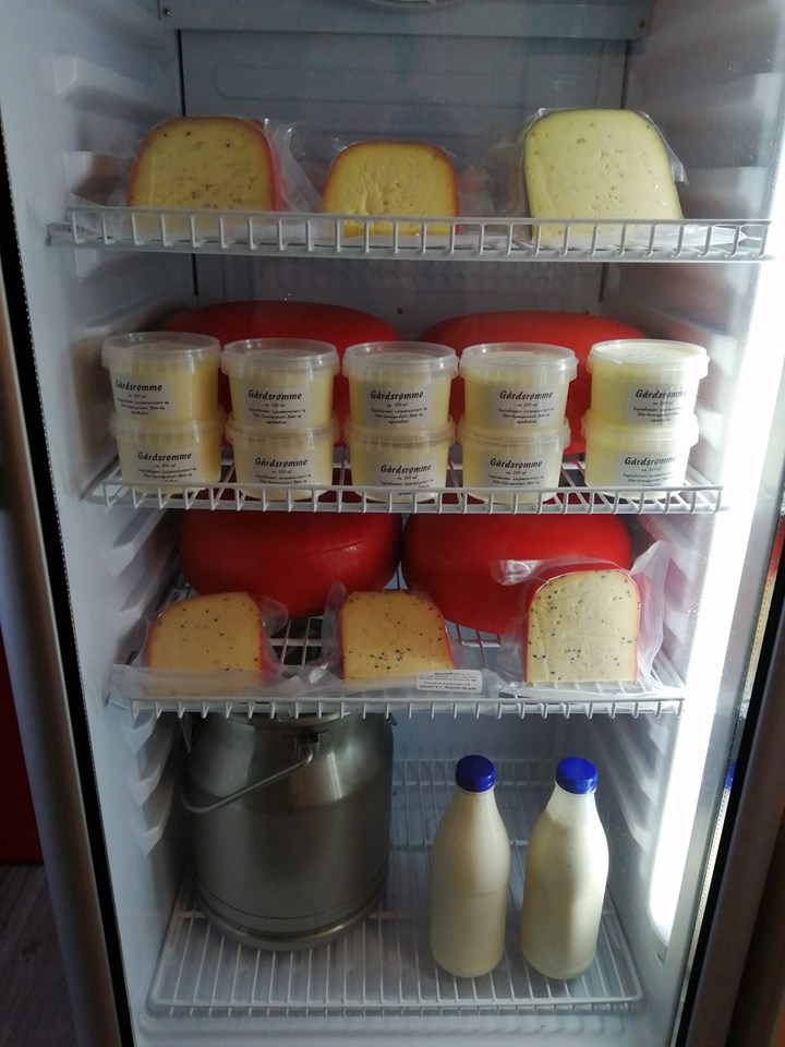 Dairy products in the fridge at family dairy farm