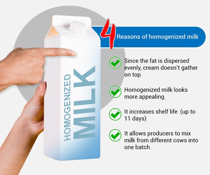 What Is Homogenized Milk And How Is It Made Milky Day Blog