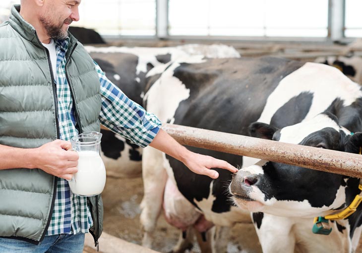How to Start a Small Dairy Farm? - The Ultimate Guide - Milky Day Blog