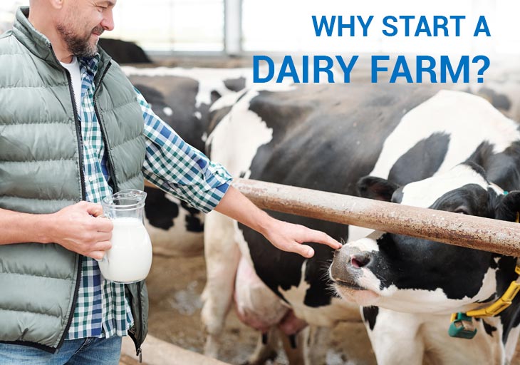 business plan small dairy farm