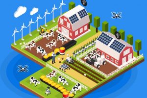 Dairy Innovation Trends 2022 for Small and Medium-Sized Farms