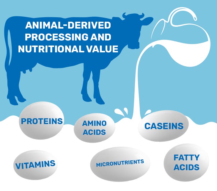 Soy vs Cow's Milk: Which is Better? - HealthXchange