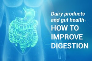 Dairy Products and Gut Health – How to Improve Your Digestion
