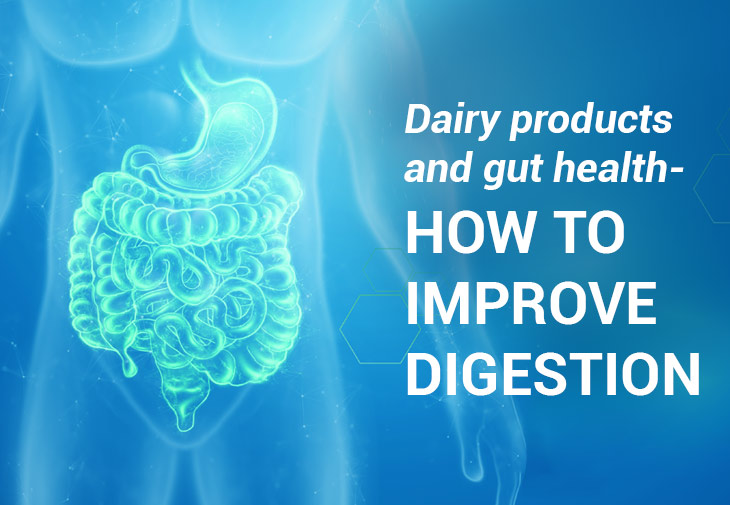 Dairy Products and Gut Health - How to Improve Your Digestion