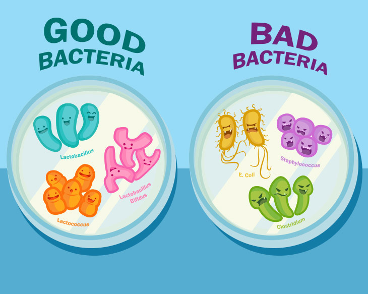 Good bad bacteria