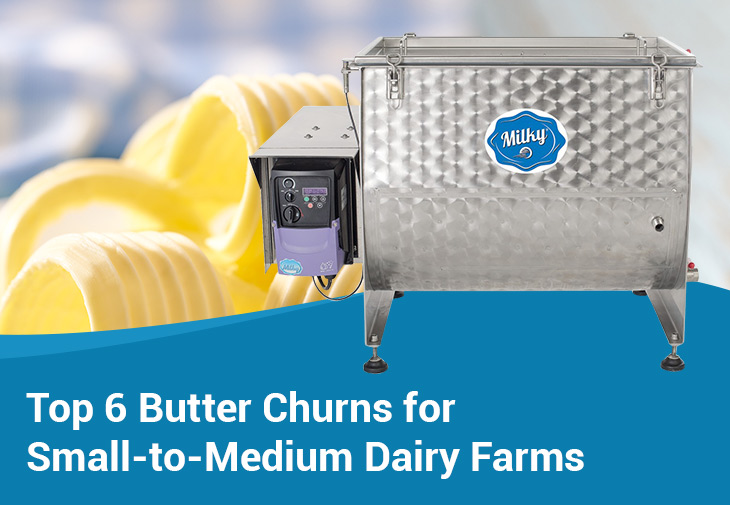 Top 6 Butter Churns for Small-to-Medium Dairy Farms